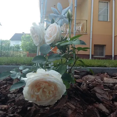 Apartament Li-do Vendeghaz